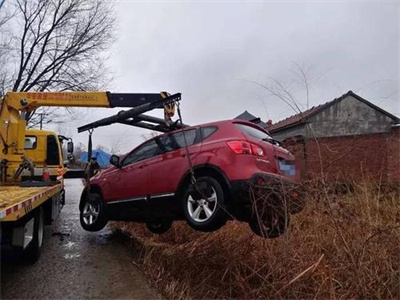 隆林楚雄道路救援